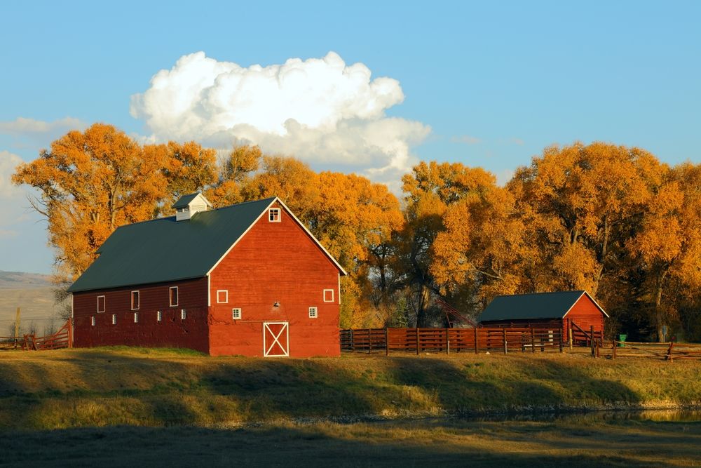 Red barn on a farmland